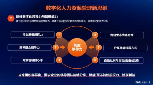 衡水新闻网
