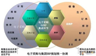 unipack 采购经理必备知识,供应链管理和采购模式