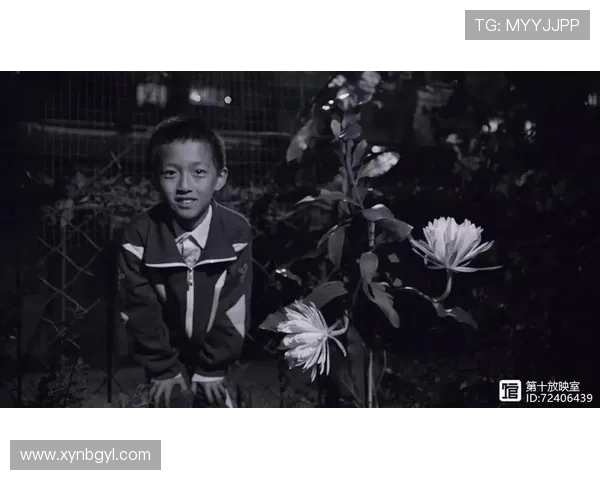 嫉海:深渊里的暗涌,人性的蚀刻 嫉海:深渊里的暗涌,人性的蚀刻