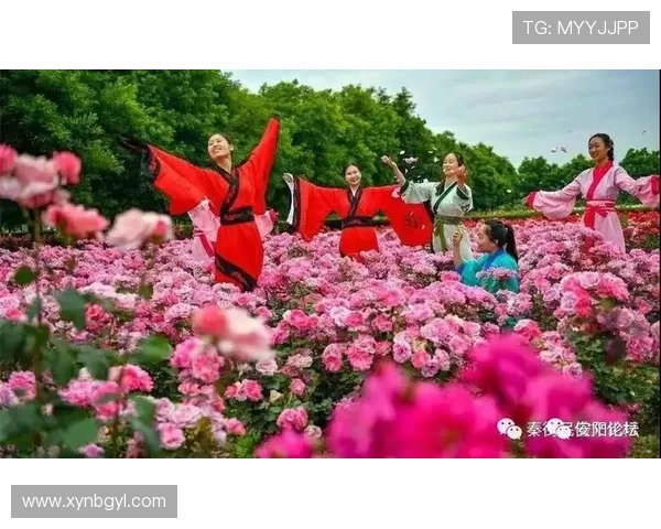 红色豆瓣:点燃生活的热情,唤醒沉睡的灵魂