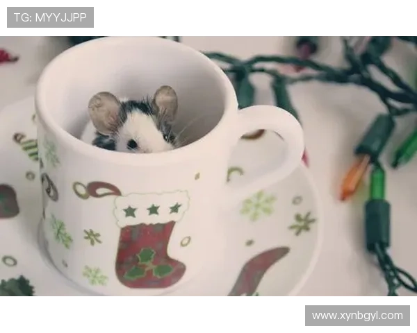 凯蒂猫的灰姑娘：当经典童话遇上治愈系萌宠，一场颠覆与重塑的魔幻之旅