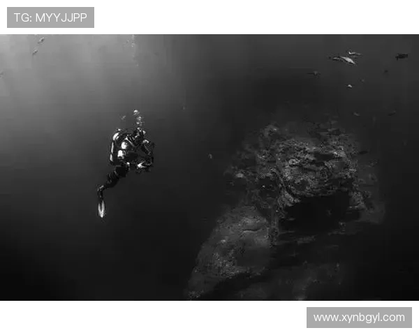 拨开迷雾，真相大白：当“元凶毕露”照亮人心