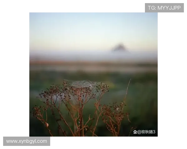 正午的死神:当时间凝固,生命在午后低语 正午的死神:当时间凝固,生命在午后低语